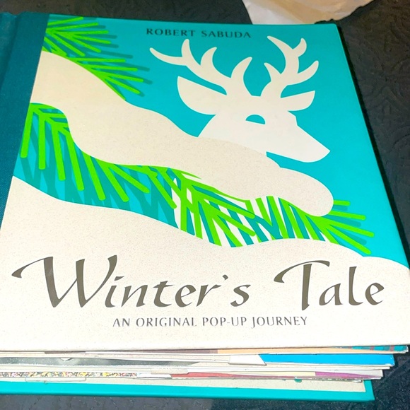 Robert Sabuda Other - Winter's Tale: Winter's Tale pop-up
